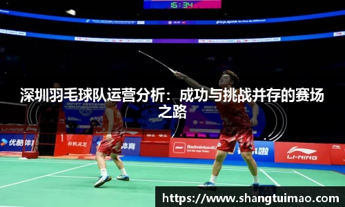 深圳羽毛球队运营分析：成功与挑战并存的赛场之路